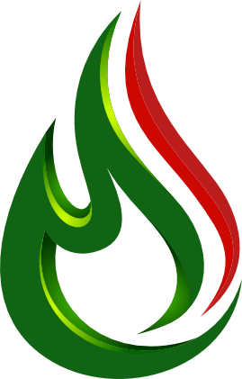 flexile-white-logo